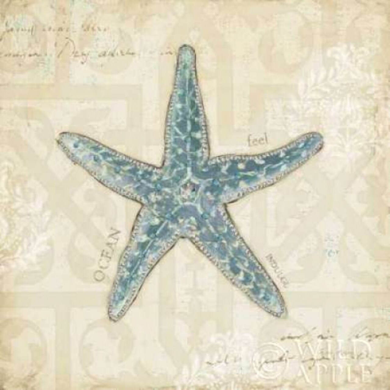 Beach Treasures II Poster Print by Emily Adams - Item # VARPDX13495